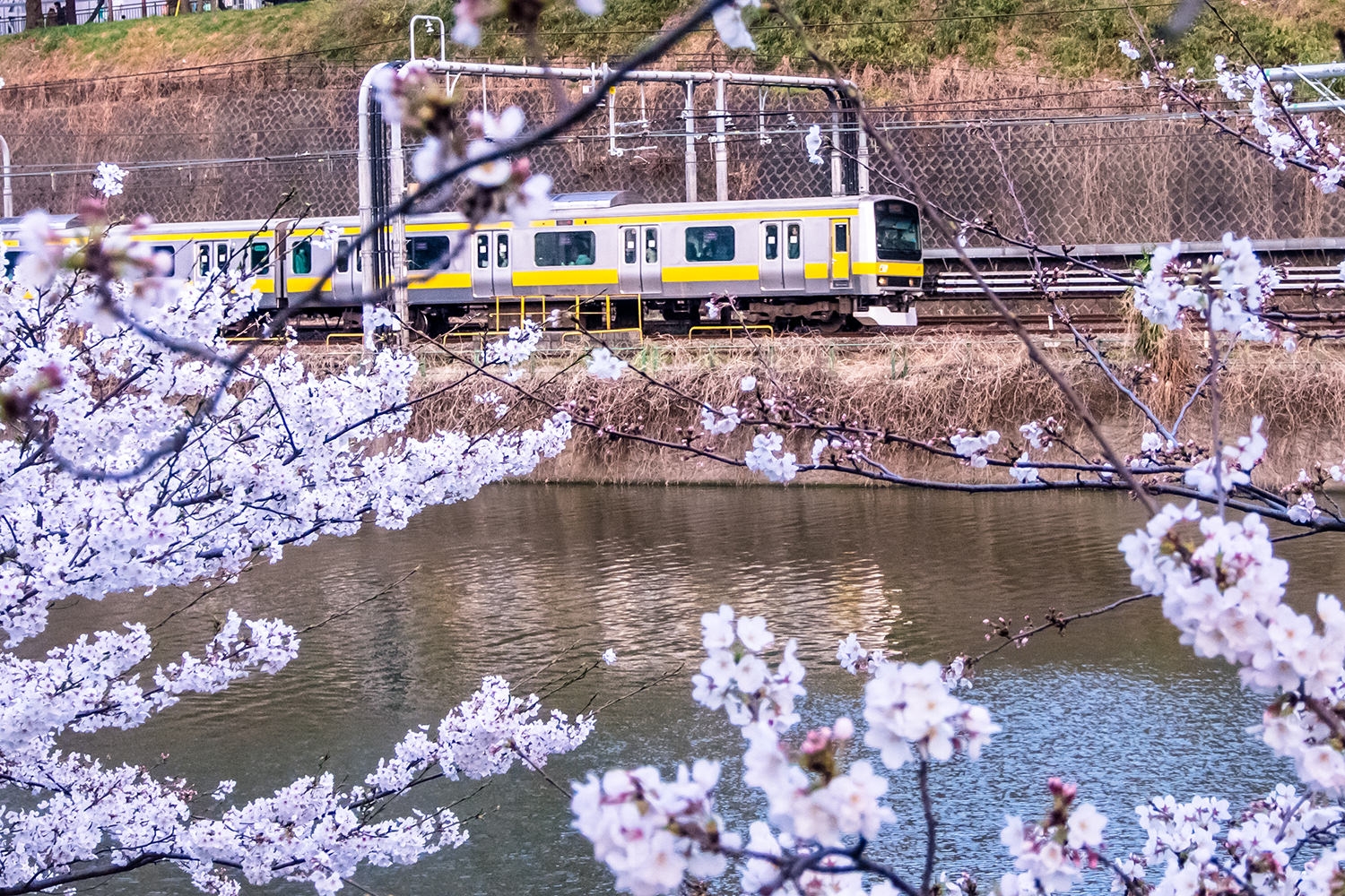20130323-P3230898500