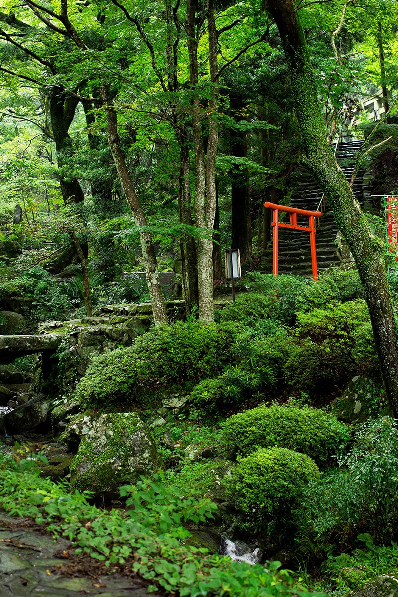 ELFA85_yashironotorii500