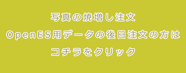 焼増し＆ES