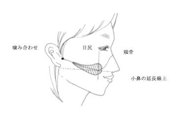 チークを入れる箇所の説明　神戸ココロスタジオ