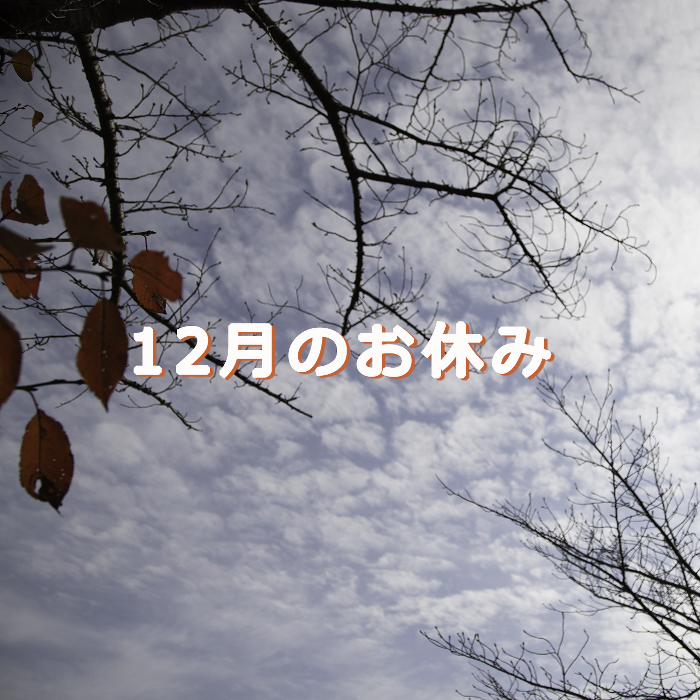 wbm_0474