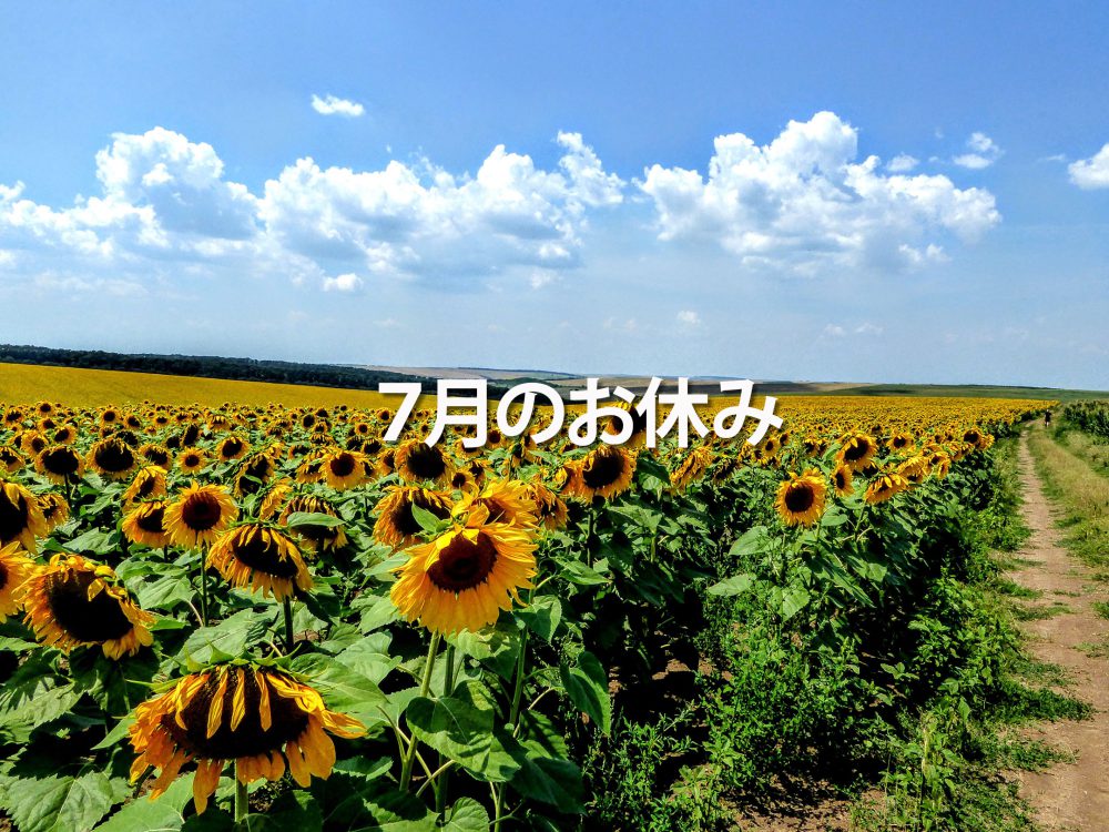 ひまわり